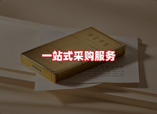 专业团队